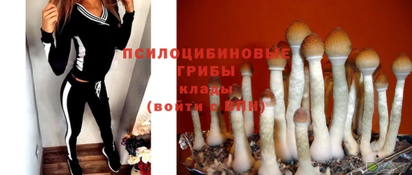 гашиш Инта