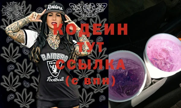 дживик Иннополис