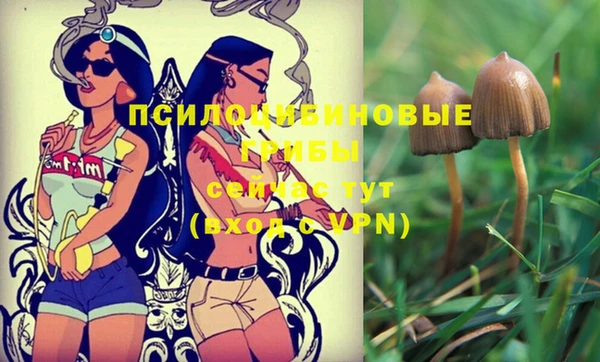 кокс Инсар