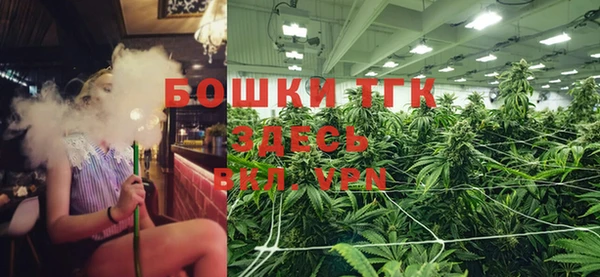 дживик Иннополис