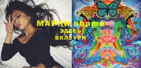 кокс Инсар