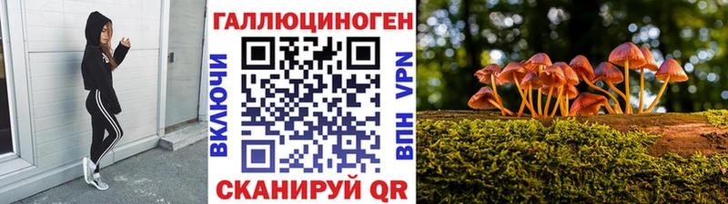 Галлюциногенные грибы Psilocybe  Нижнекамск 