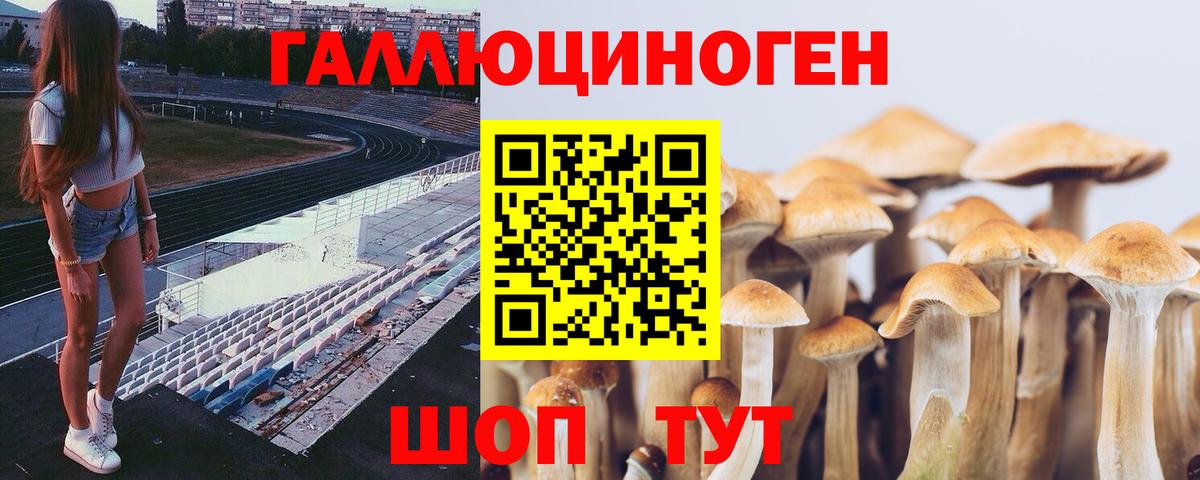 Галлюциногенные грибы MAGIC MUSHROOMS Нижнекамск