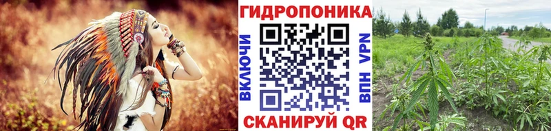 Конопля OG Kush blacksprut как зайти Нижнекамск