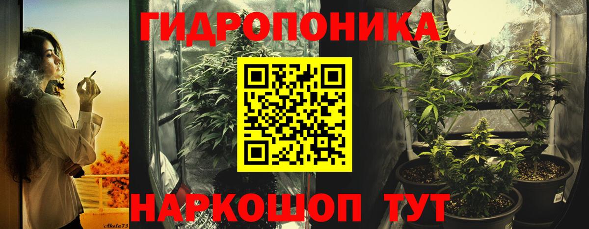 Бошки марихуана семена  Бошки Шишки Bruce Banner  Канабис Amnesia  Вход с VPN  Нижнекамск 